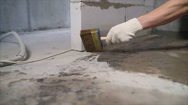 SJ Waterproofing Pros Waterproofing coverage map for Belleville, MI and surrounding area
